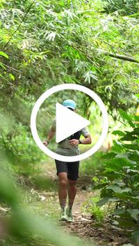 BIB:  <button type="button" onclick="openModal(26821073)" class="btn btn-primary btn-sm float-right" data-toggle="modal" data-target=".modal-high-quality">
                <i class="fa fa-download"></i> Download
                </button>